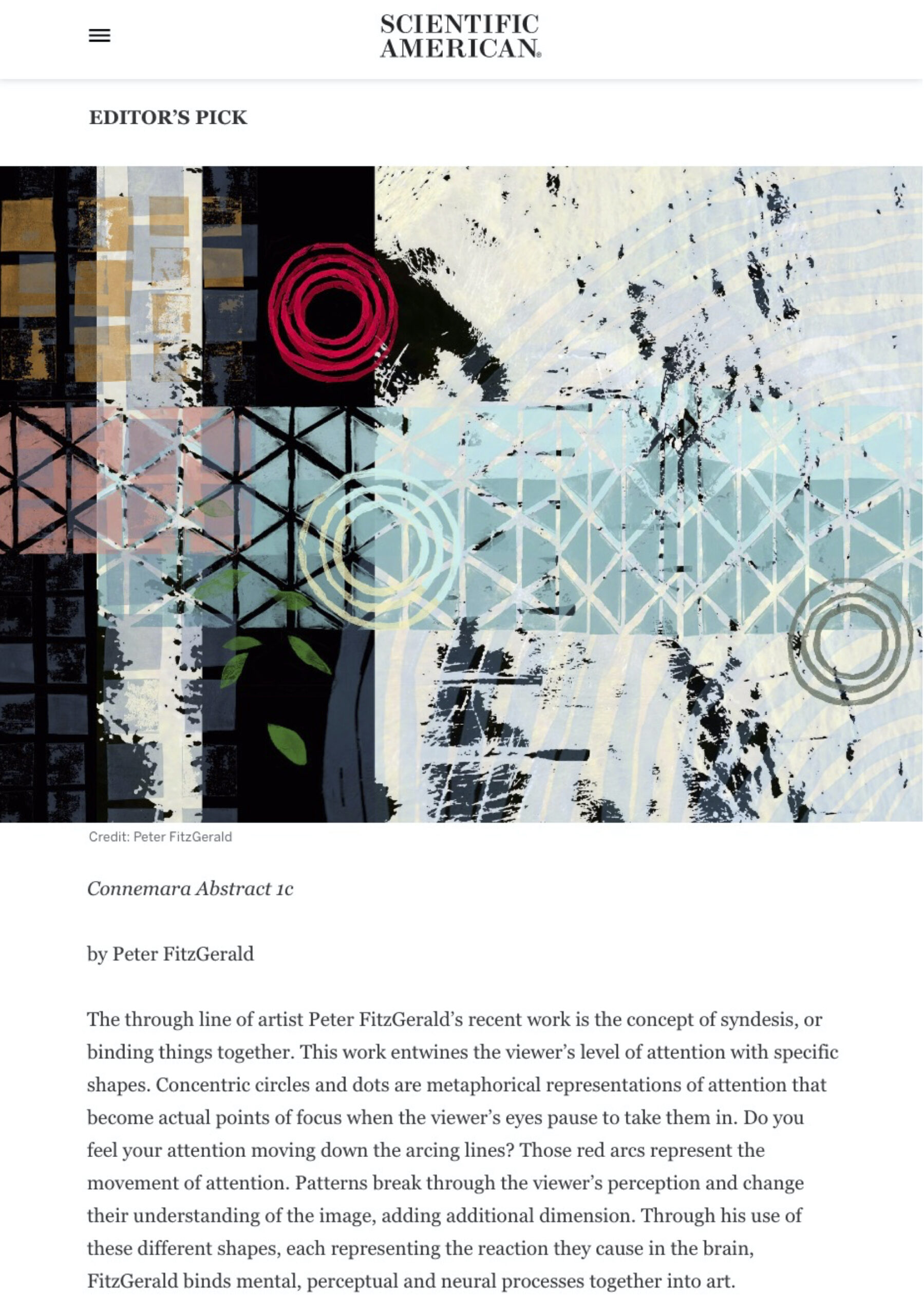 Reproduction of Peter FitzGerald: ‘Connemara Abstract 1c’ on Scientific American website, 2023